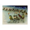 Strange Vintage Mob of Birds with Matches