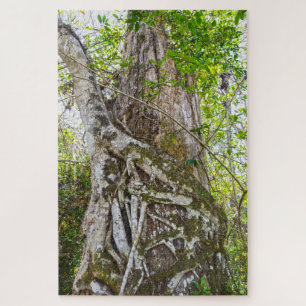 Strangler Fig, Big Cypress National Preserve, FL Jigsaw Puzzle