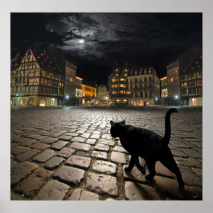 Strasbourg's night poster