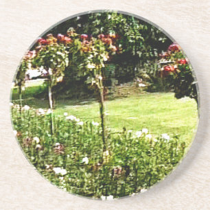Stratford-upon-Avon Garden Rose snap-29602 jGibney Coaster