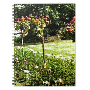 Stratford-upon-Avon Garden Rose snap-29602 jGibney Notebook