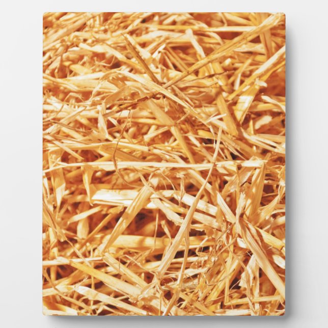 Straw, Abstract Design Plaque (Front)
