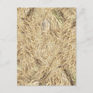 Straw Background Postcard