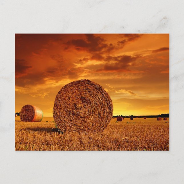 Straw bales on farmland with red cloudy sky postcard (Front)