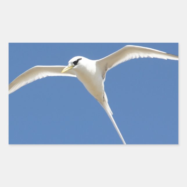 Straw bird in Teuve Mauritius Sticker (Front)