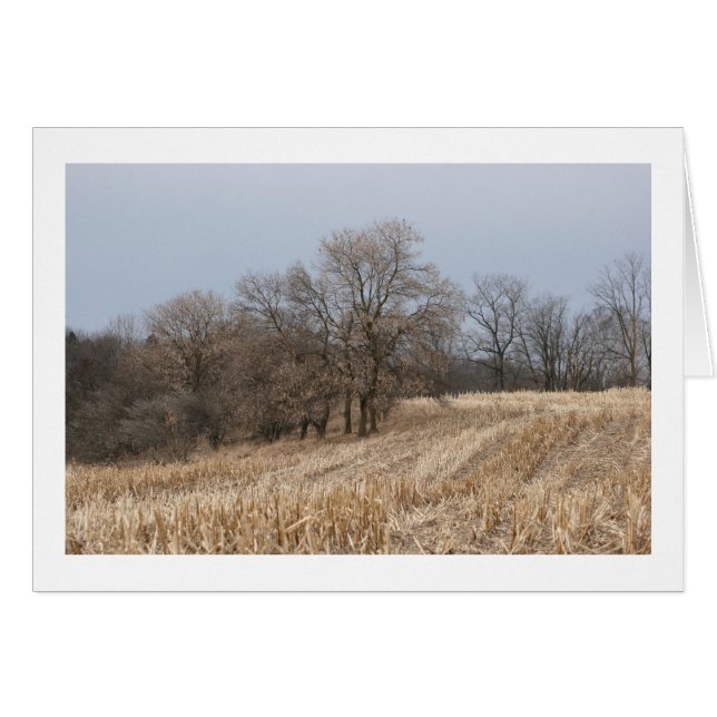 Straw Fields Blank Cards (Front Horizontal)