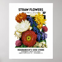 Straw Flowers Seed Packet Label