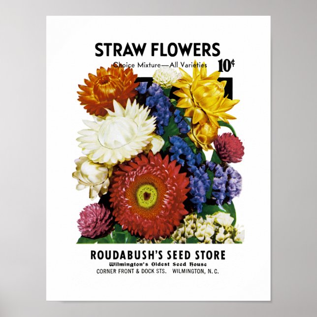 Straw Flowers Seed Packet Label Poster (Front)