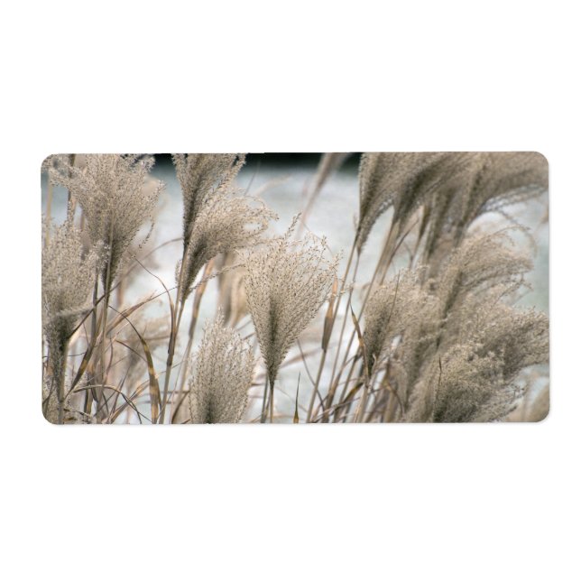 Straw in winter (Front)