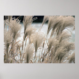 Straw in winter poster