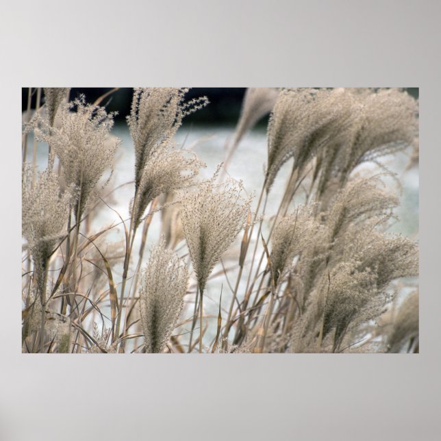 Straw in winter poster (Front)