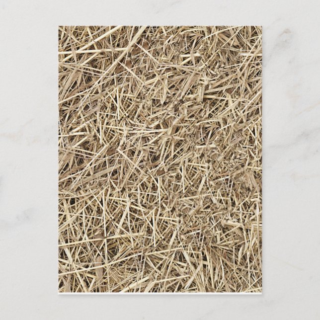 Straw Postcard (Front)