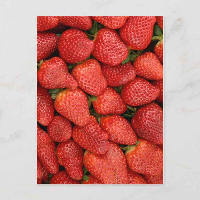 STRAWBERRIES 5X7 POSTCARD (Front)