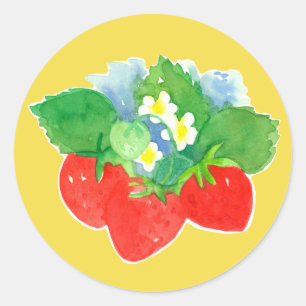 Strawberries Blossoms Fruit Watercolor Classic Round Sticker