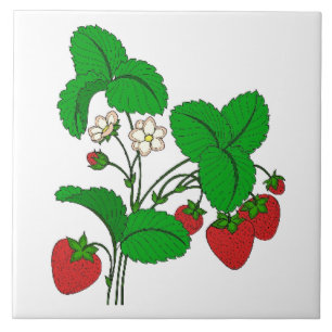 Strawberries for Breakfast Tile