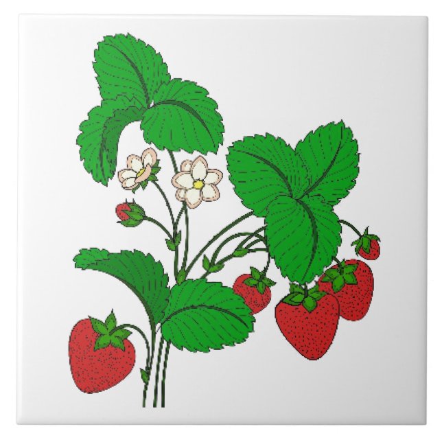Strawberries for Breakfast Tile (Front)