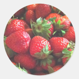 Strawberries   fresh picked red berries   classic  round sticker