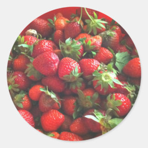 Strawberries fresh picked red berries classic round sticker