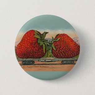 Strawberries Giant Antique Fruit Fun 2 Inch Round Button