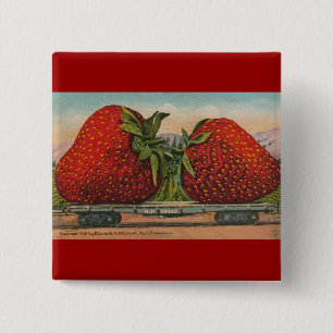 Strawberries Giant Antique Fruit Fun 2 Inch Square Button