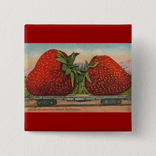 Strawberries Giant Antique Fruit Fun 2 Inch Square Button (Front)