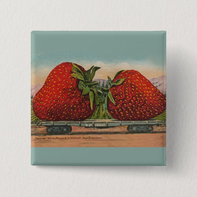 Strawberries Giant Antique Fruit Fun 2 Inch Square Button (Front)