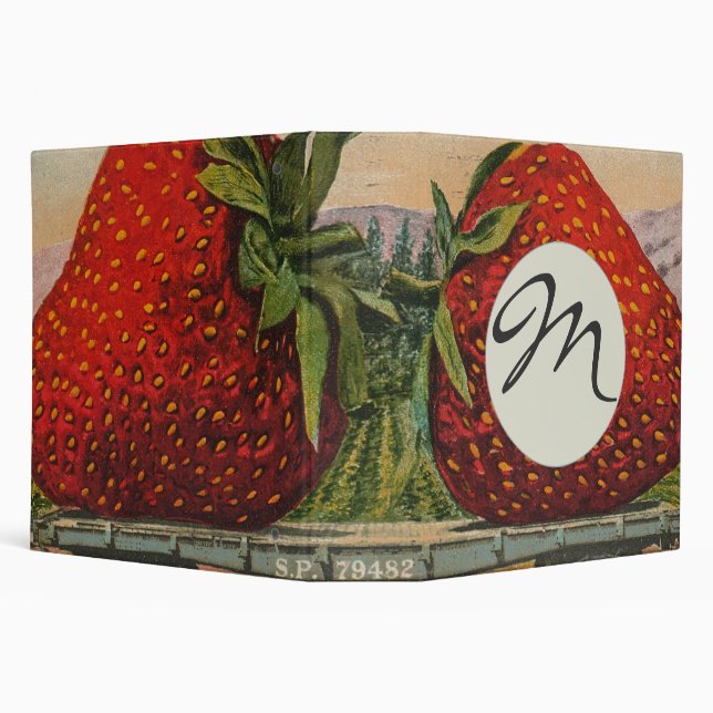 Strawberries Giant Antique Fruit Fun Binder (Background)