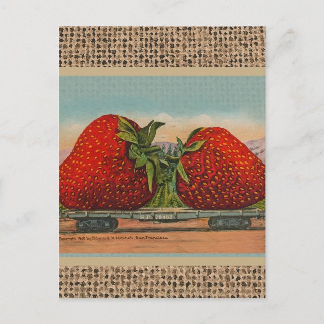 Strawberries Giant Antique Fruit Fun Postcard (Front)