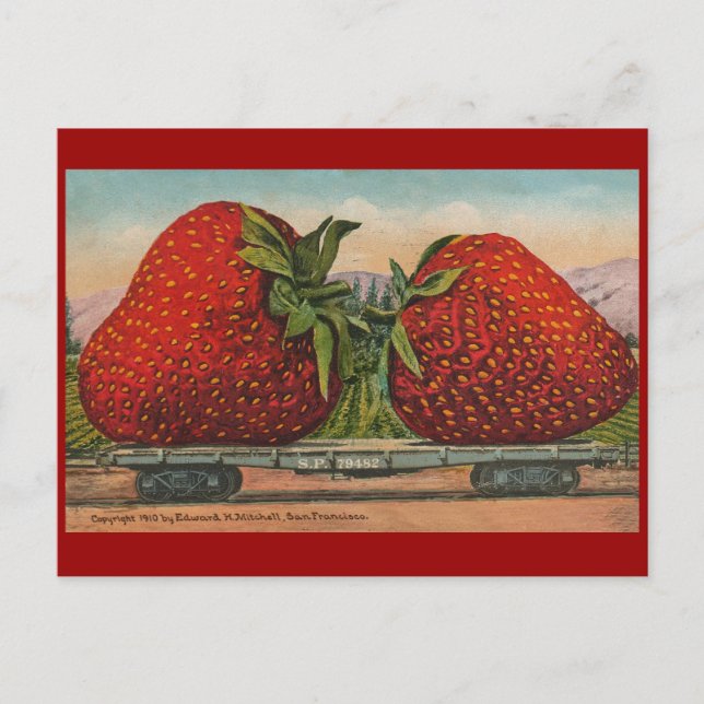Strawberries Giant Antique Fruit Fun Postcard (Front)