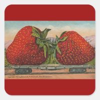 Strawberries Giant Antique Fruit Fun