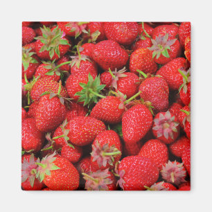 Strawberries Magnet