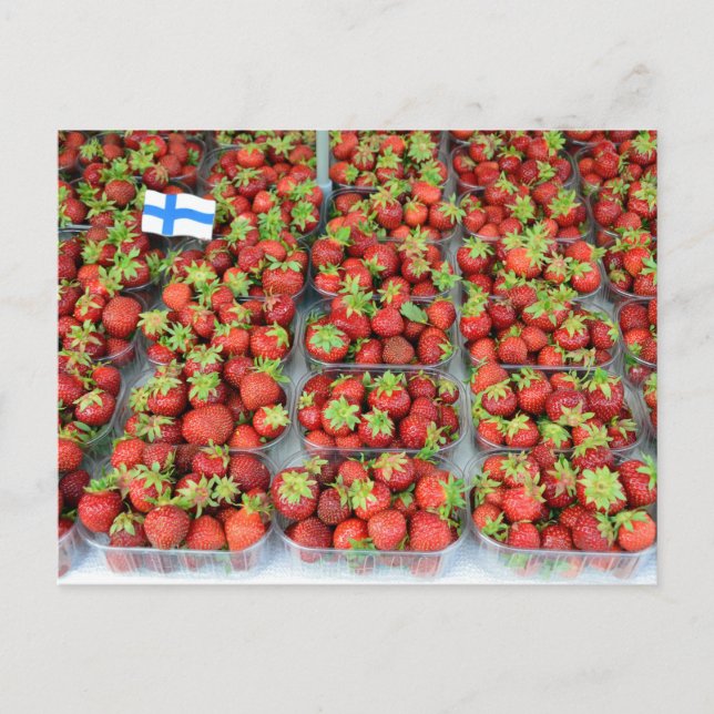 Strawberries, Market Square, Helsinki, Finland Postcard (Front)