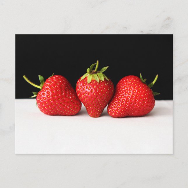 Strawberries On Black Over White pca Postcard (Front)