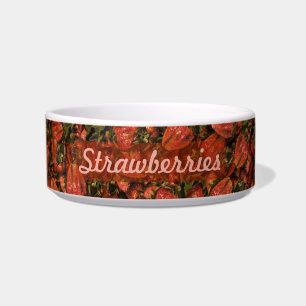 Strawberries Pet Bowl
