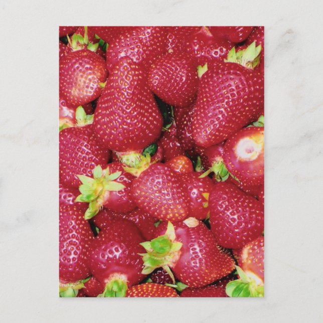 Strawberries Postcard (Front)