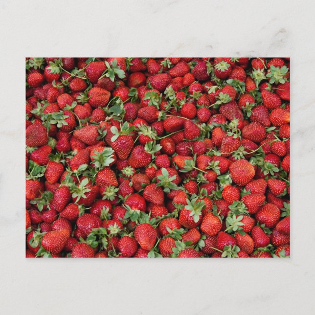 Strawberries Postcard (Front)