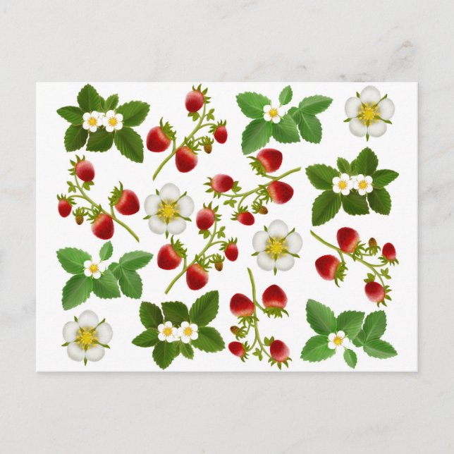 Strawberries Postcard (Front)