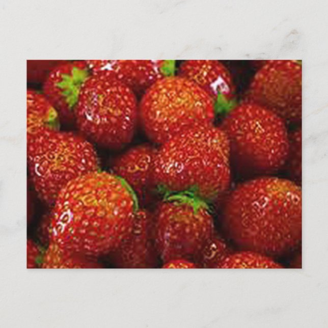 Strawberries  postcard (Front)