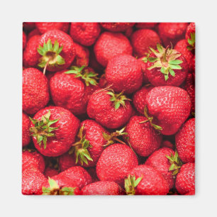 Strawberries Red Delicious Strawberry Magnet
