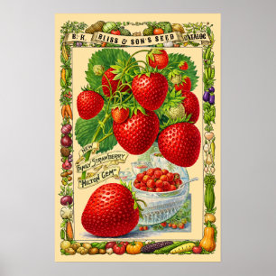 Strawberries Retro Victorian Era Botanical Art Poster