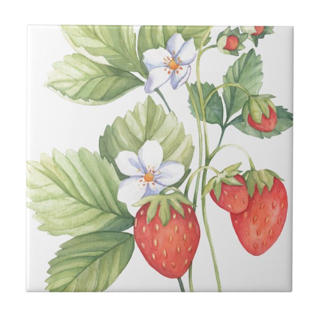 Strawberries Tile (Front)