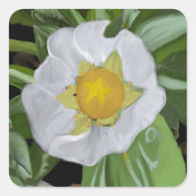 Strawberry Blossom Square Sticker