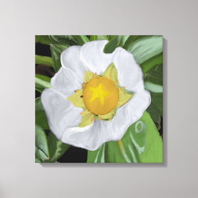 Strawberry Blossom Stretched Canvas Print (Front)