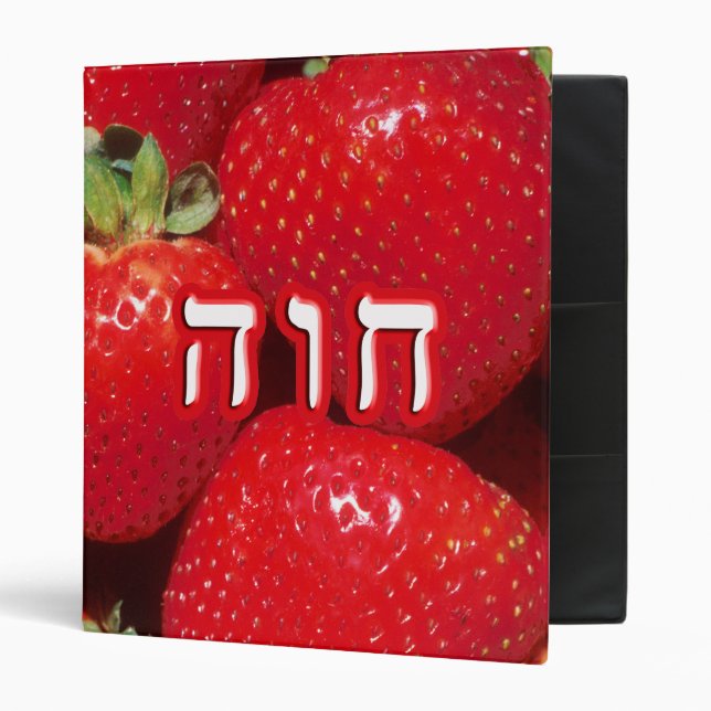 Strawberry Chava (Eve) Binder (Front/Inside)