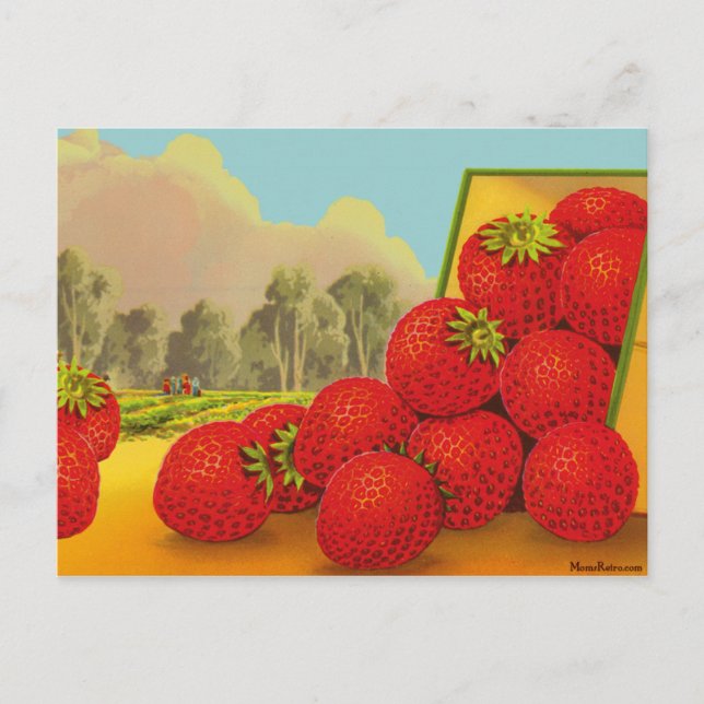 Strawberry Crate Art Custom Recipe Card Postcard (Front)