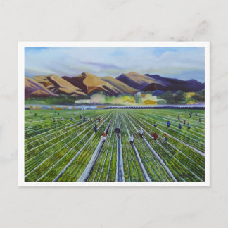 Strawberry Fields Postcard