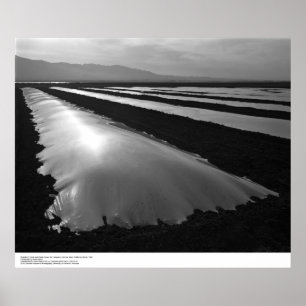 Strawberry Fields with Plastic Fumigation Covers Poster