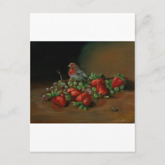 Strawberry finch bird and fruit Strawberries Postcard
