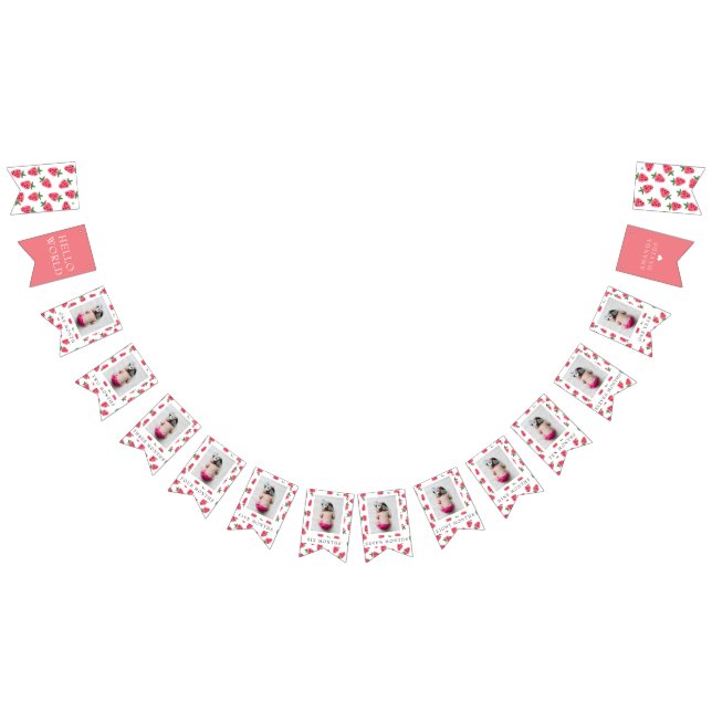 Strawberry Girl First Birthday Milestones Photos  Bunting Flags (All)