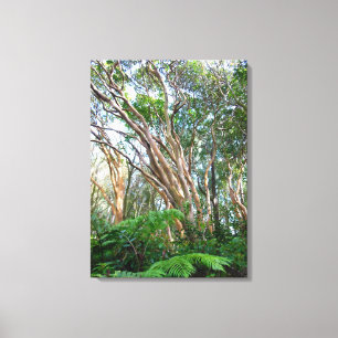 Strawberry Guava Trees Canvas Print